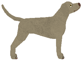 Loveshack Silver — “Master”