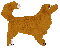 Evanescence Nescafe — “Nesca”