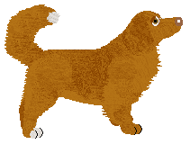 Evanescence Nescafe — “Nesca”