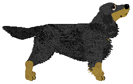 Energizing Skiddley Whiffers — “Pepe”