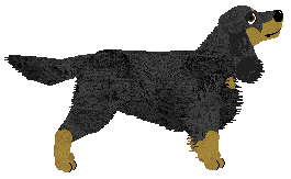 Energizing Skiddley Whiffers — “Pepe”