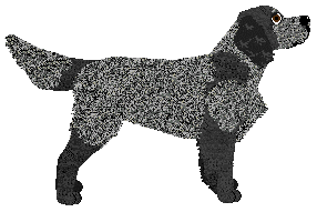 Energizing To Be So Lonely — “Rask”