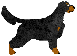 SettFever Original Me — “Synek”