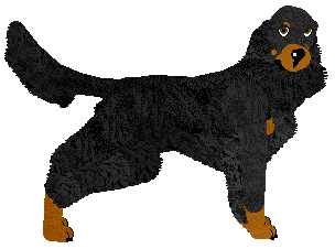 Profile image of SettFever Original Me