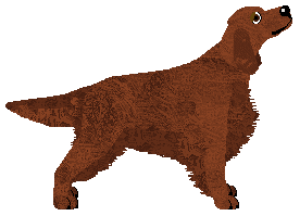 Andervale's Written in Flame — “Quaid”