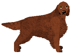 Andervale's Written in Flame — “Quaid”