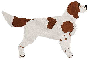 SettFever LADY IN RED — “Frida”