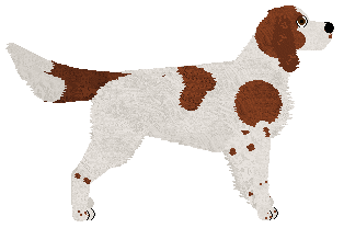 SettFever LADY IN RED — “Frida”