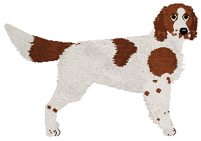 Profile image of SettFever LADY IN RED