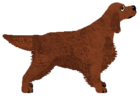 Andervale's Blaze o'er the Waves — “Kaitlan”