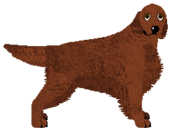 Andervale's Blaze o'er the Waves — “Kaitlan”