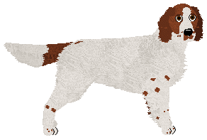 Profile image of SettFever That Way