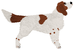 Profile image of SettFever Yanda