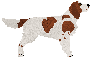 Evanescence My Immortal — “Smerfik”