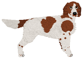 Profile image of Evanescence My Immortal