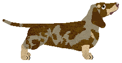 Blizzard Pinacolada — “Pinacolada”