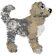 Spellbound Roquefort sous la Lune at Tao — “Colorado Blue”