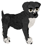 EC's Twinkling Star — “Diamond”