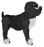 EC's Twinkling Star — “Diamond”