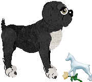 Profile image of EC's Twinkling Star