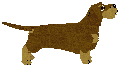 Energizing Elton John — “Elton”