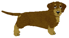 Profile image of Energizing Elton John