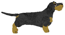 Energizing Michael Jackson — “Jackson”