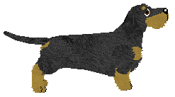 Energizing Michael Jackson — “Jackson”