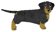 Profile image of Energizing Michael Jackson