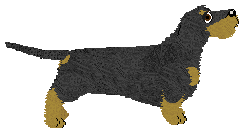 Energizing Mandaryna — “Mandaryna”