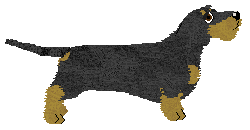 Energizing Mandaryna — “Mandaryna”