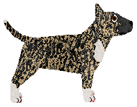 Cansas' Cud Natury — “Soyer”