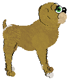 Mika's Hot on the Trail at Mythic Silence — “Forest”