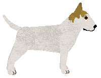 Tapfur's Word from the Bird — “Truth”