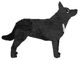 Oakwood's Barcelona — “Willow”