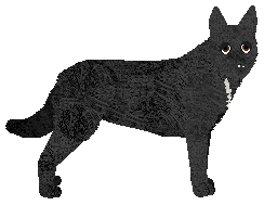 Profile image of Oakwood's Barcelona