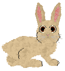 Bláith's Never Gonna Find Me — “Starshine”