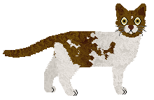 Fauvelle's Mourvèdre — “Mo”