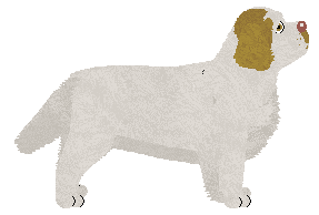 Geriatrix Lovely Bit Of Squirrel — “Sauce”