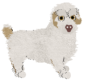 Profile image of Geriatrix Classic Sauce