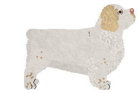 Geriatrix Swimming In It — “Gravy”