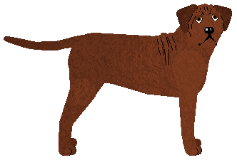 Profile image of Rosestone's Honest Road to Take