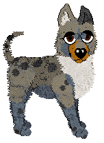 Profile image of Mockingbird Cheetos on the Dashboard at Tao