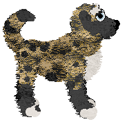 Spellbound Champs de blé Enneigés at Tao — “Lincoln”