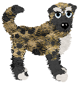 Profile image of Spellbound Champs de blé Enneigés at Tao