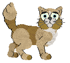 Profile image of FDL's Fairy Longhorn Moth