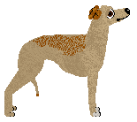 Incurro Driven By Instinct — “Miura”