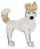 Profile image of Cirrutopia Emerald Lake at Tao