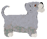 Profile image of Aura's New World Hops