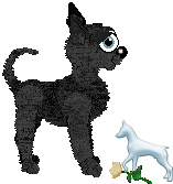 Profile image of EC's Volcanic Glass